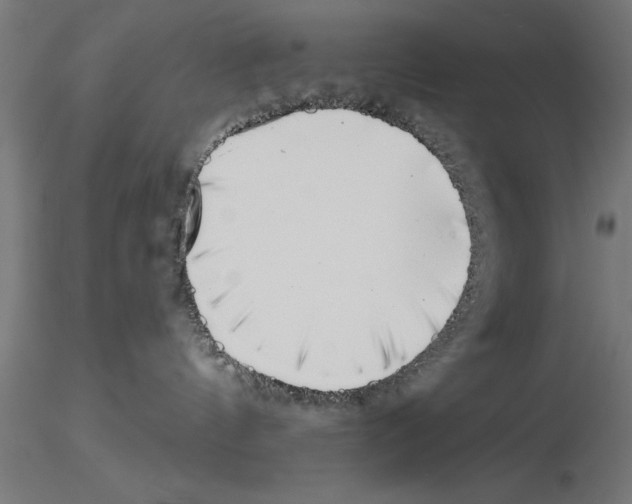 X0000115230144200912111039