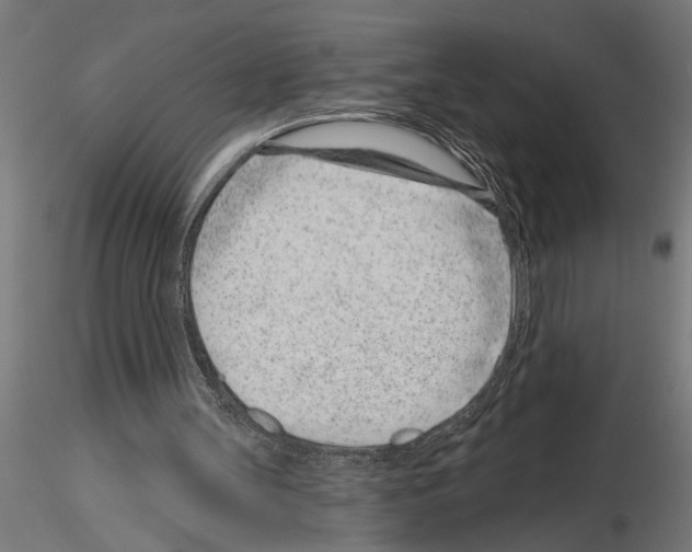 X0000115230147200912111039