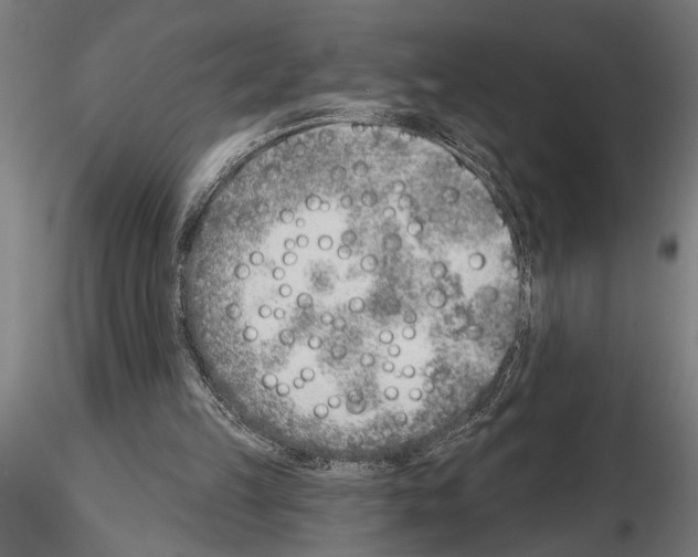 X0000115230149200912111039