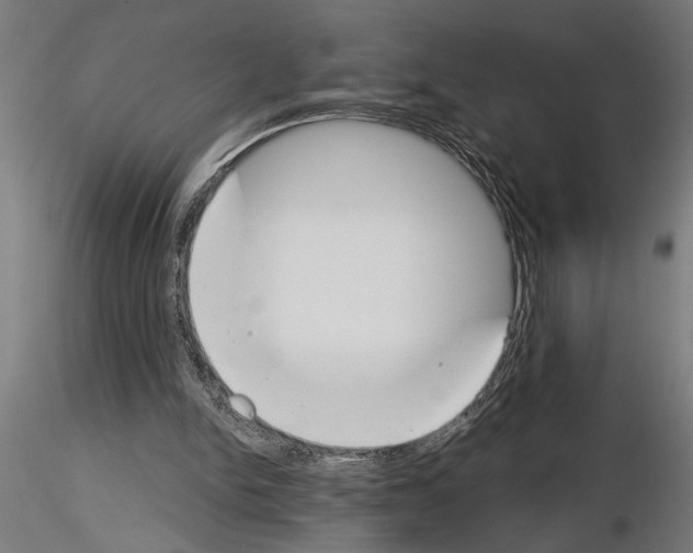 X0000115230150200912111039