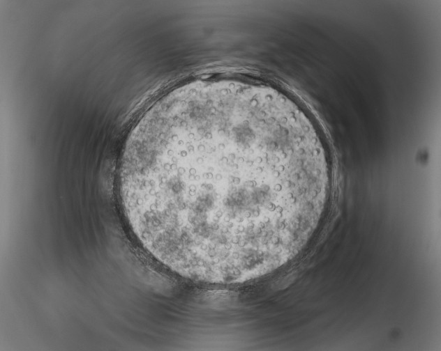 X0000115230153200912111039