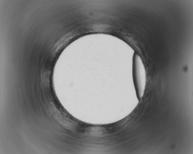 X0000115230154200912111039