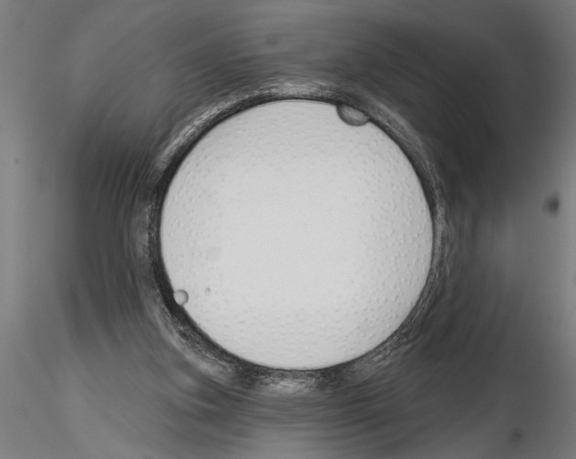 X0000115230155200912111039