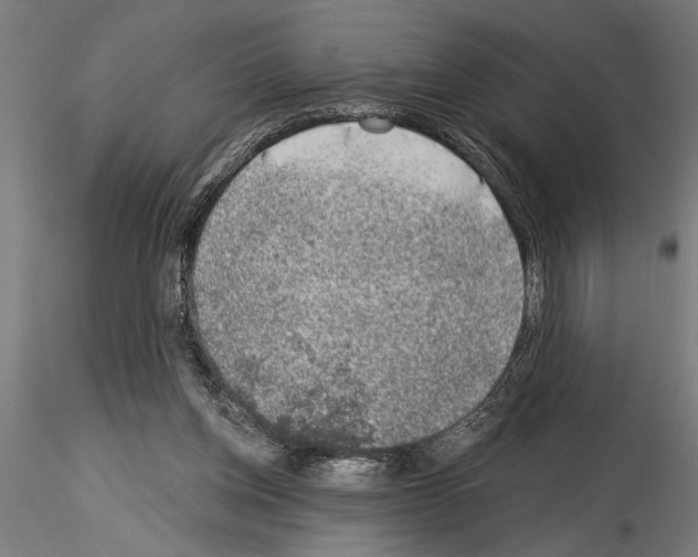 X0000115230158200912111039