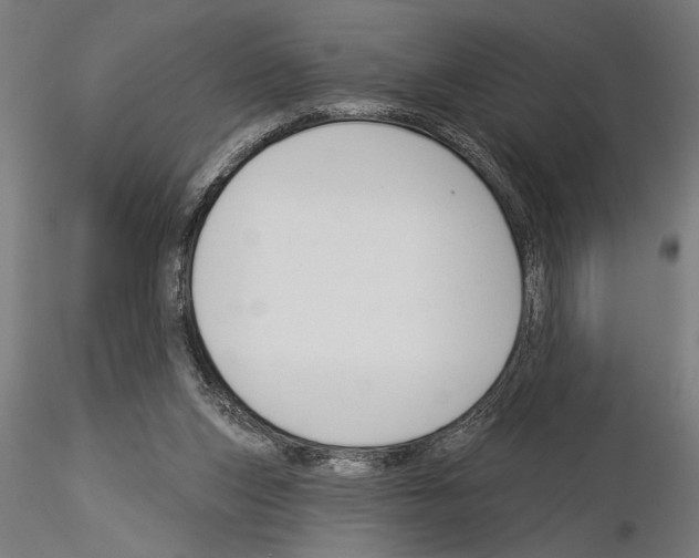 X0000115230159200912111039