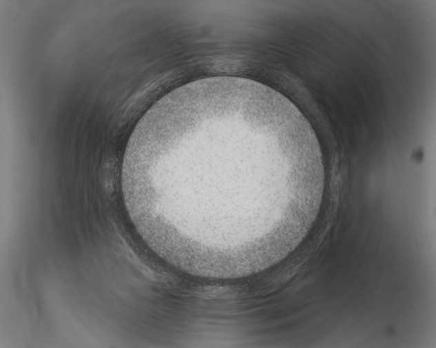 X0000115230161200912111039