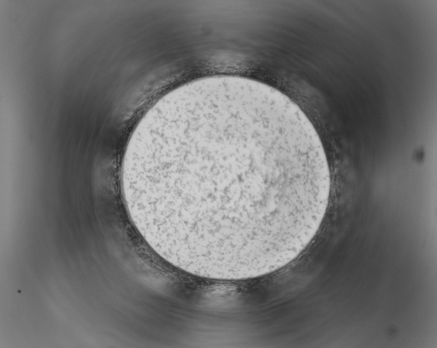 X0000115230162200912111039