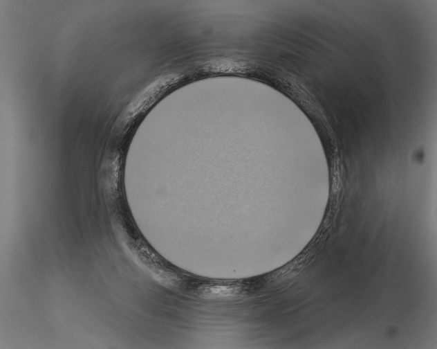 X0000115230163200912111039