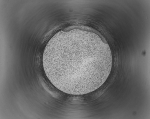 X0000115230165200912111039