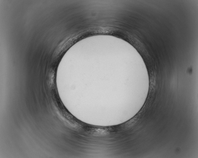 X0000115230166200912111039