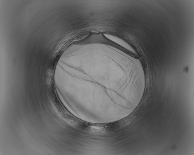 X0000115230167200912111039