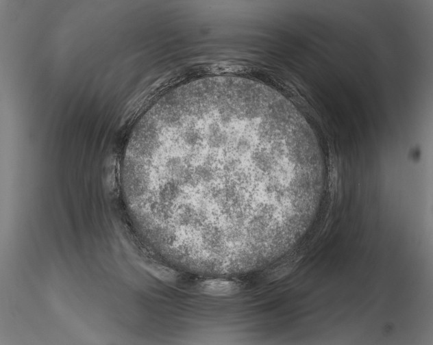 X0000115230169200912111039