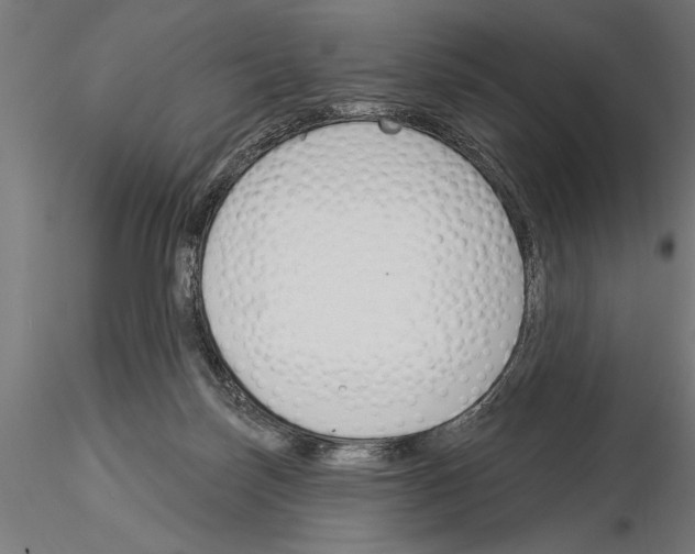 X0000115230171200912111039