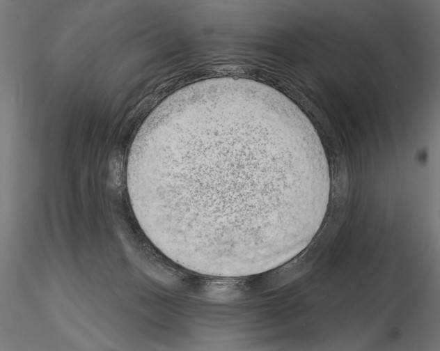 X0000115230175200912111039