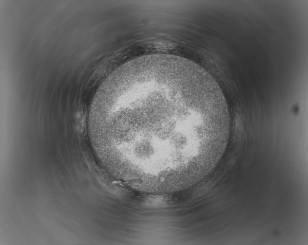 X0000115230177200912111039