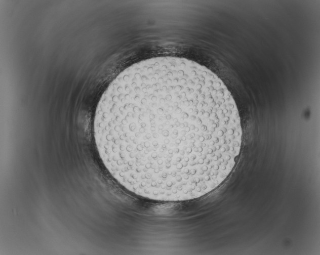 X0000115230178200912111039