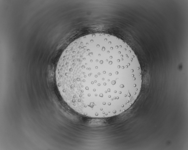 X0000115230179200912111039