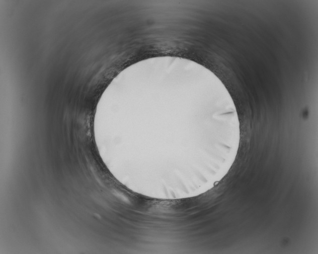 X0000115230182200912111039