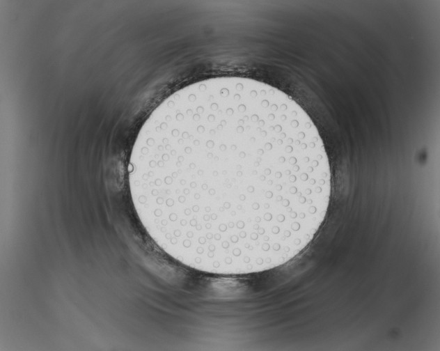 X0000115230183200912111039