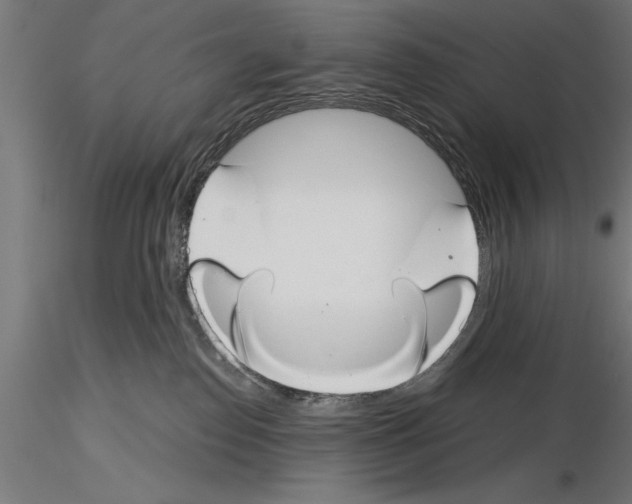 X0000115230186200912111039