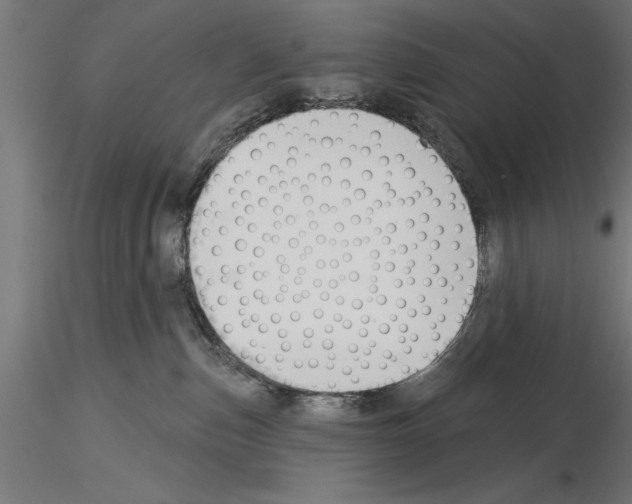 X0000115230187200912111039