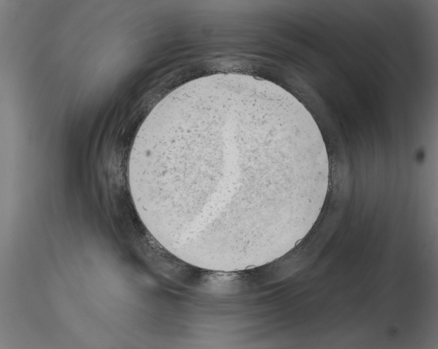 X0000115230189200912111039