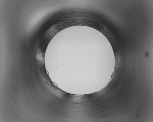 X0000115230191200912111039