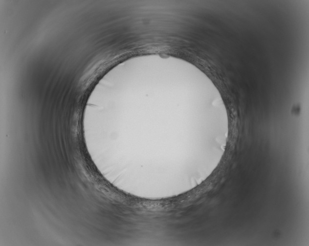 X0000115230194200912111039