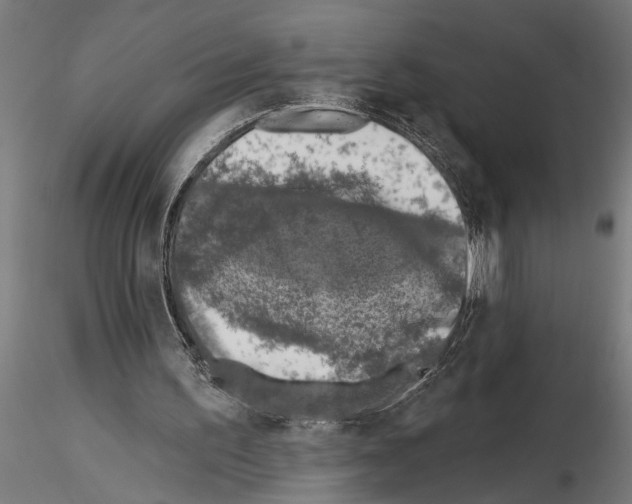 X0000115230195200912111039