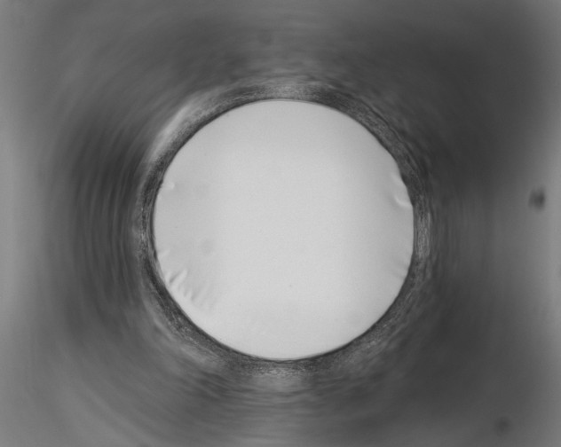 X0000115230198200912111039