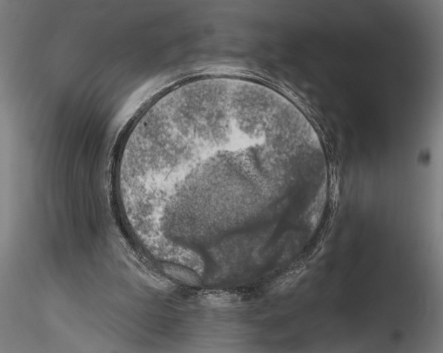 X0000115230199200912111038