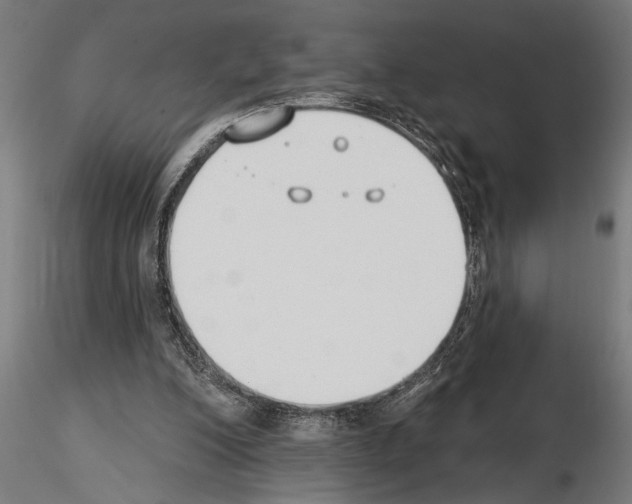 X0000115230200200912111038