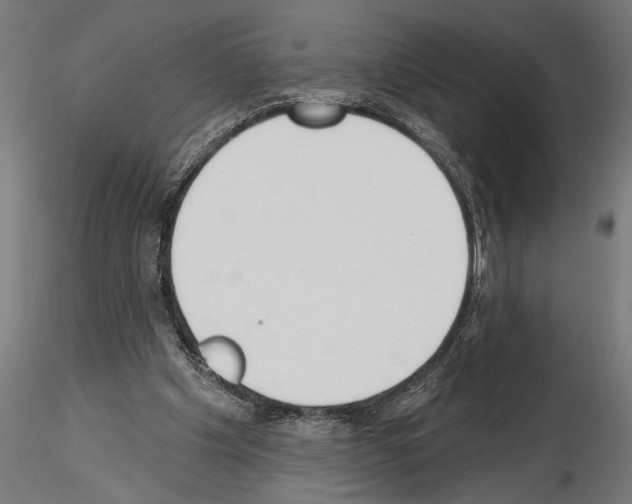 X0000115230201200912111038