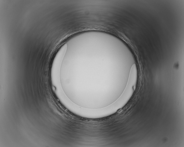 X0000115230203200912111038