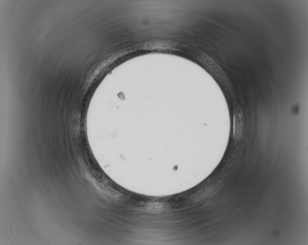 X0000115230204200912111038