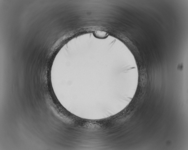 X0000115230207200912111038