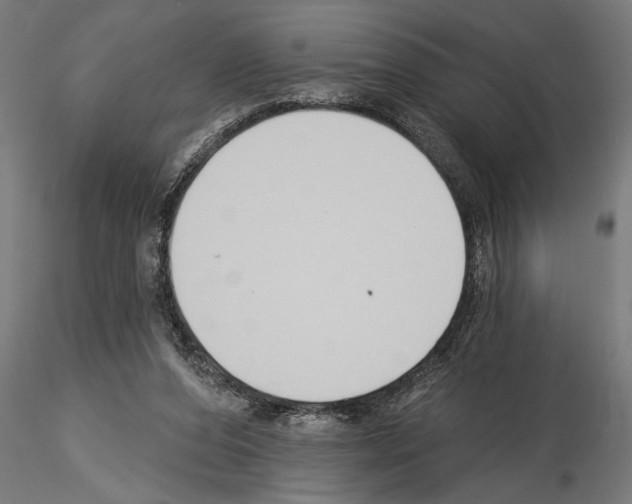 X0000115230208200912111038