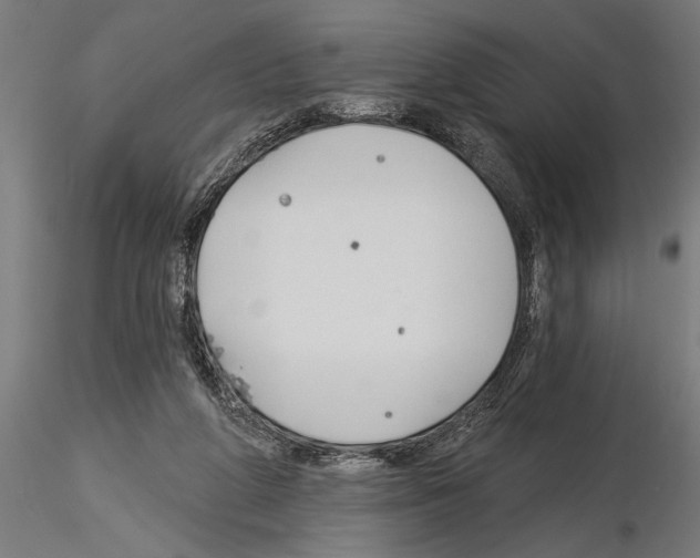 X0000115230210200912111038