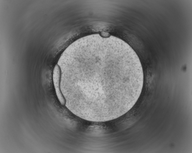 X0000115230211200912111038