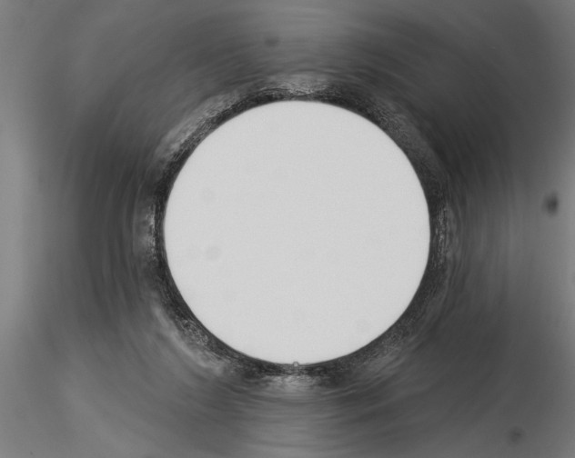 X0000115230212200912111038