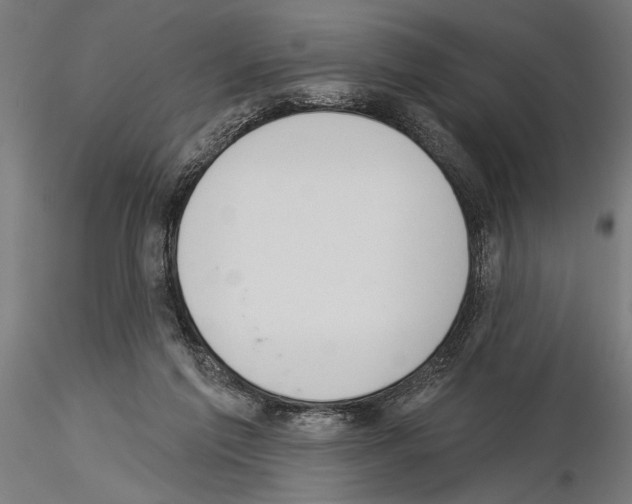 X0000115230213200912111038