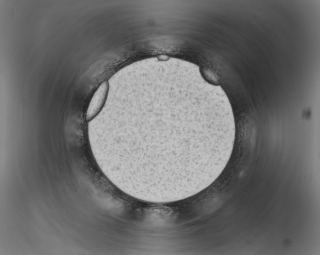 X0000115230215200912111038