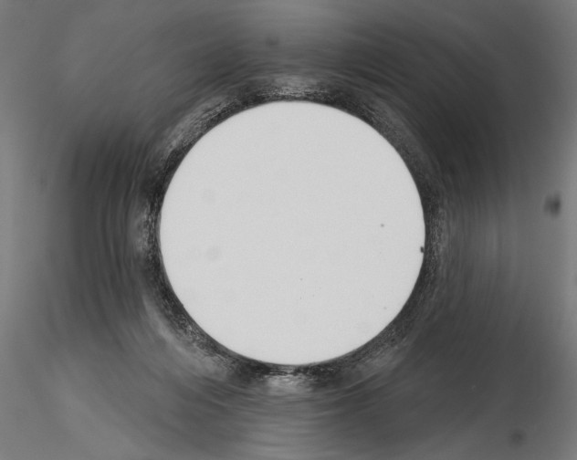 X0000115230216200912111038