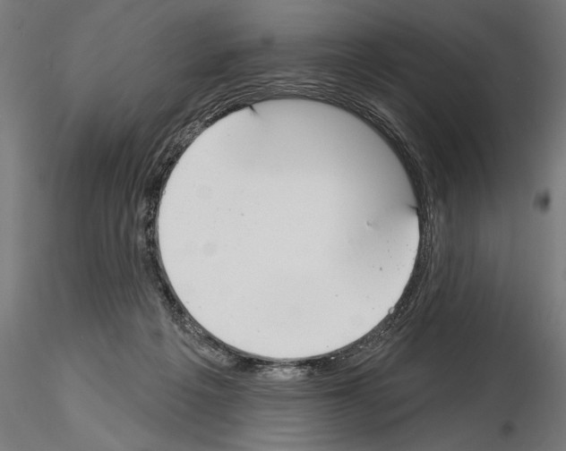 X0000115230217200912111038