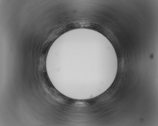 X0000115230218200912111038