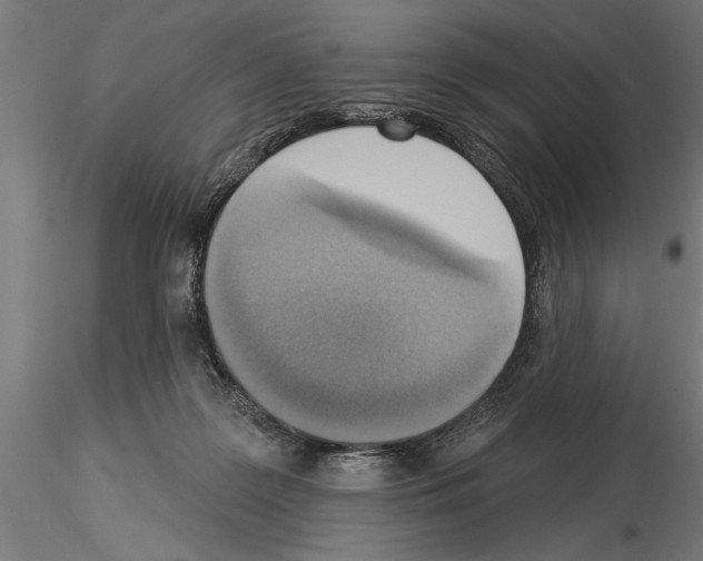 X0000115230219200912111038