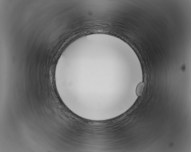 X0000115230221200912111038