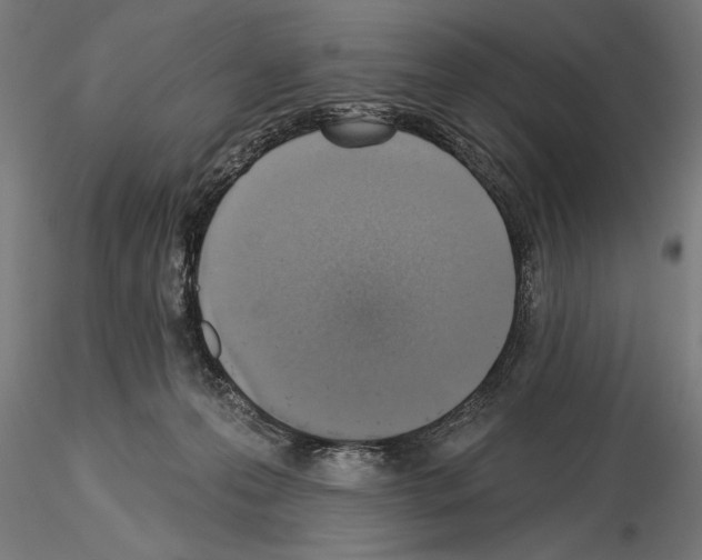 X0000115230223200912111038