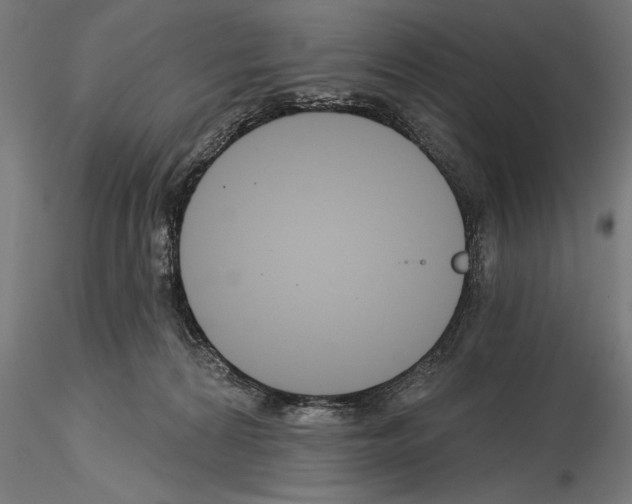 X0000115230224200912111038