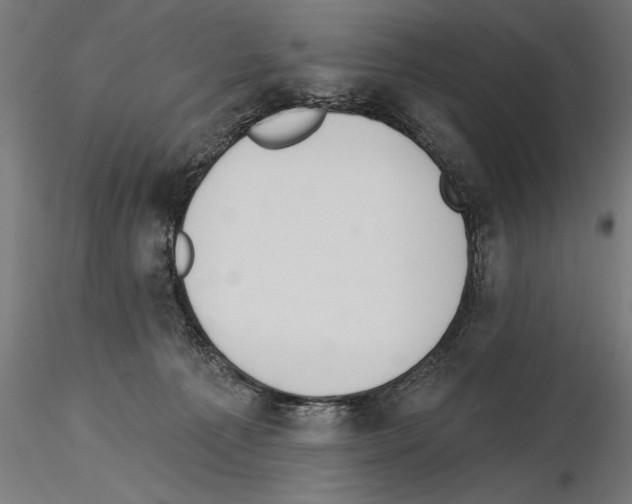 X0000115230225200912111038